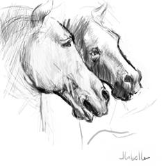 Horses